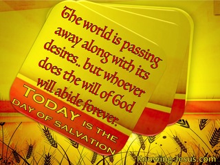 1 John 2:17 Today is the Day (devotional)03:17 (yellow)